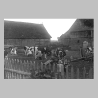 116-0029 Melken auf dem Hofplatz Hans Bessel um 1935. Im Bild die alte Stroh gedeckte Scheune mit Storchennest.jpg